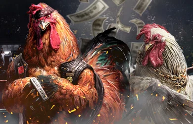 DS88 Cockfight — provider artwork for online sabong on TG777