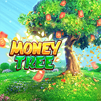 MONEY TREE, Slots
