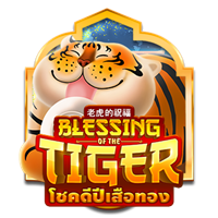 Blessing of the Tiger, Slots