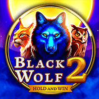 Black Wolf 2, Slots