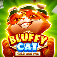 Bluffy Cat, Slots