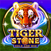 Tiger Stone, Slots