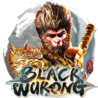 Black Wukong, Slots