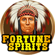 Fortune Spirits, Slots