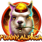 Funny Alpaca, Slots
