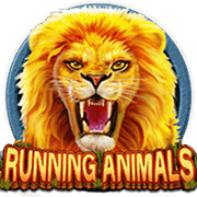 Running Animals, Slots