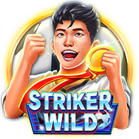 Striker WILD, Slots
