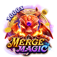 MERGE MAGIC, Slots