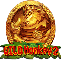 wildmonkey2, Slots