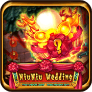 NiuNiu Wedding, Slots