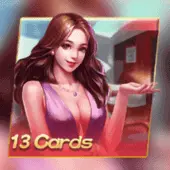 Thirteen Cards, 365Games
