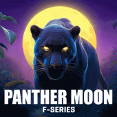 Panther Moon, Slots