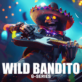 Wild Bandito, Slots