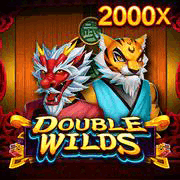 Double Wilds, Slots