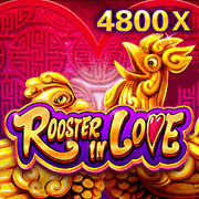 Rooster In Love, Slots