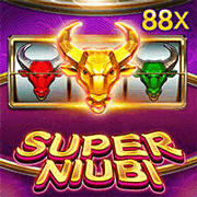 Super Niubi, Slots