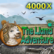 The Llama Adventure, Slots