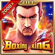 Boxing King, Slots