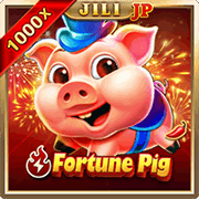 FortunePig, Slots