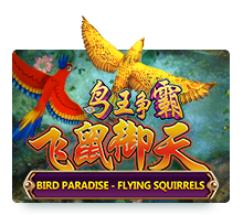 Bird Paradise - Flying Squirrels, Fish Hunter