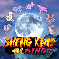 Sheng Xiao Bingo, Slots