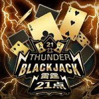Thunder Blackjack, Slots
