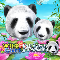 Wild Giant Panda, Slots