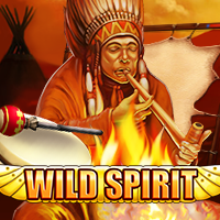 Wild Spirit, Slots