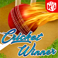 Cricket Winner, Slots