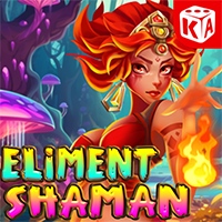 Element Shaman, Slots
