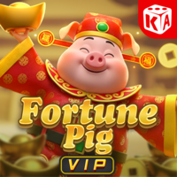 Fortune Pig VIP, Slots