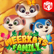 Meerkats Family, Slots