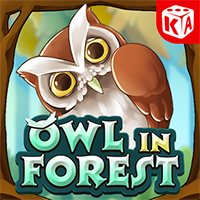 Owl In Forest, Slots