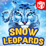 Snow Leopards, Slots