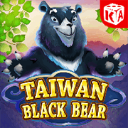 Taiwan Black Bear, Slots