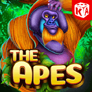 The Apes, Slots