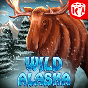 Wild Alaska, Slots