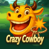 Crazy Cowboy, Card Games