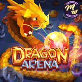 Dragon Arena, Slots