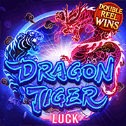 Dragon Tiger Luck, Slots