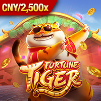 Fortune Tiger, Slots