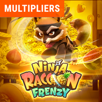 Ninja Raccoon Frenzy, Slots