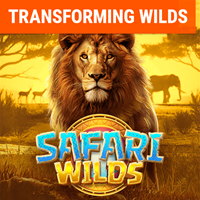 Safari Wilds, Slots