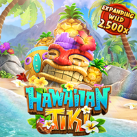 Tiki Hawaii, Slots