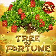 Tree of Fortune, Slots