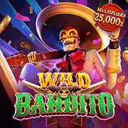 Wild Bandito, Slots