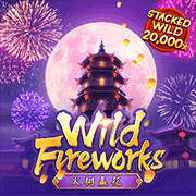 Wild Fireworks, Slots