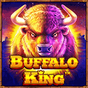 Buffalo King, Slots