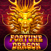 Fortune Dragon, Slots