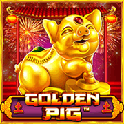 Golden Pig, Slots
